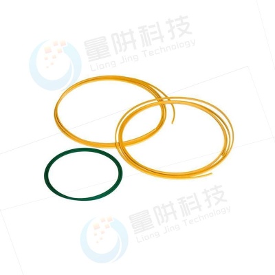 Dry Pump Tip Seal