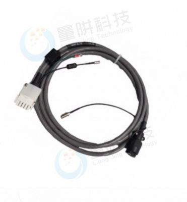R32453025 Sensor Cable (Non-bakeable)