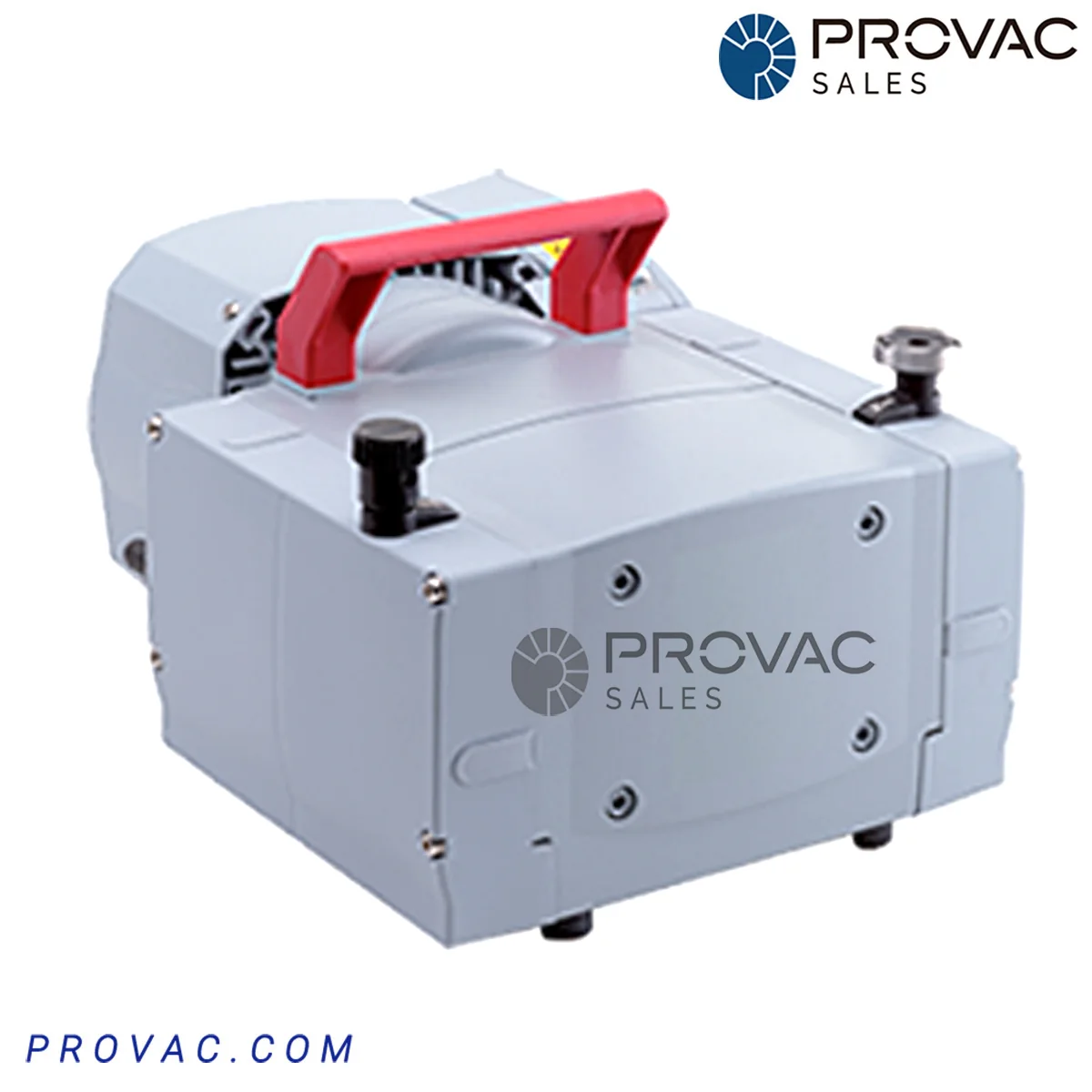 PKT01360A